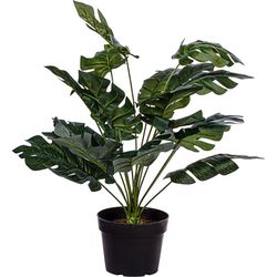 PLANTASIA Műnövény 60 cm fekete