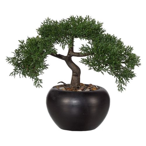 Cédrus műbonsai, 26 cm